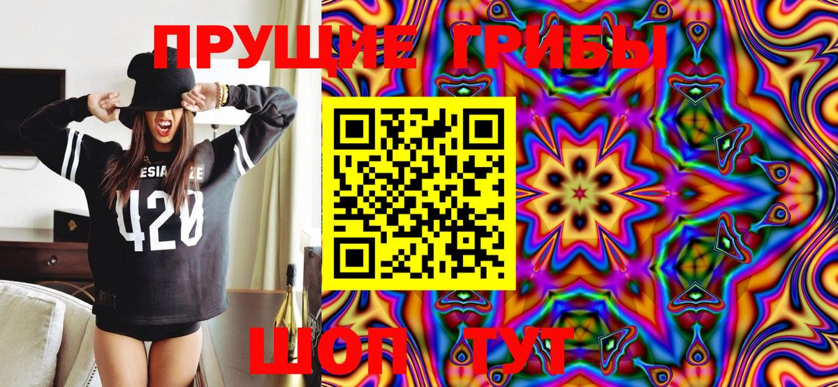 Псилоцибиновые грибы Psilocybine cubensis Кондопога