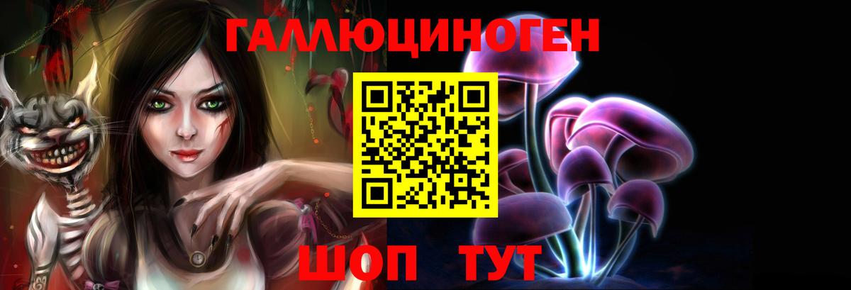 Кондопога  Псилоцибиновые грибы GOLDEN TEACHER  Вход с VPN  Галлюциногенные грибы MAGIC MUSHROOMS 